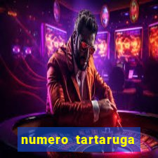 numero tartaruga jogo do bicho